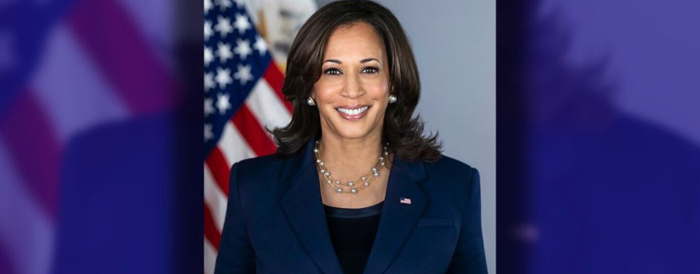 Harris Slams Trump’s Agenda as ‘Decades in the Making’