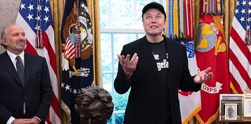 Critics Question 2024 Results as Musk Tactics Surface