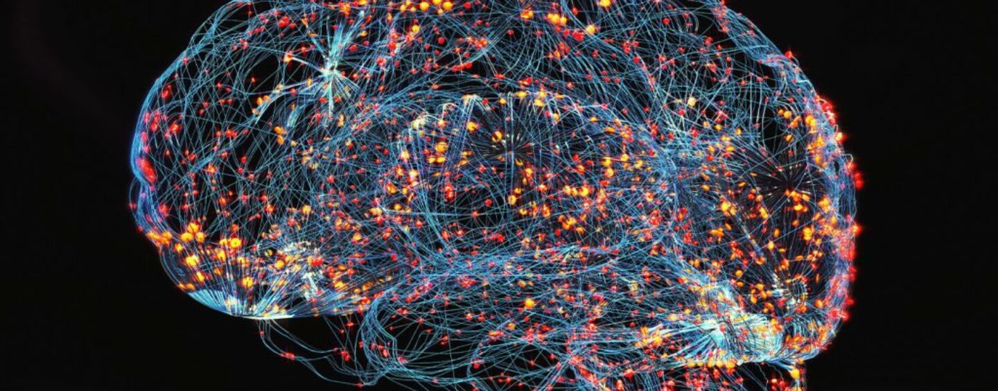 Major Study Produces Good News in Alzheimer’s Fight