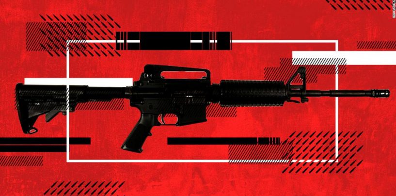 NRA Funding & Loopholes for Getting Guns, N.C. Republican Senators Rank 2nd