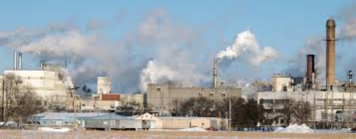 Biden Administration Sets New Standards for Voluntary Carbon Markets to Drive Climate Action