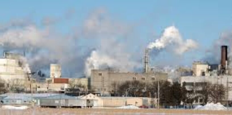 Biden Administration Sets New Standards for Voluntary Carbon Markets to Drive Climate Action