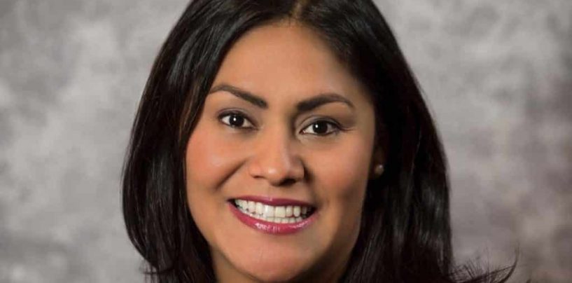 API’s Energy Research Collaborative Focus is on Diversity