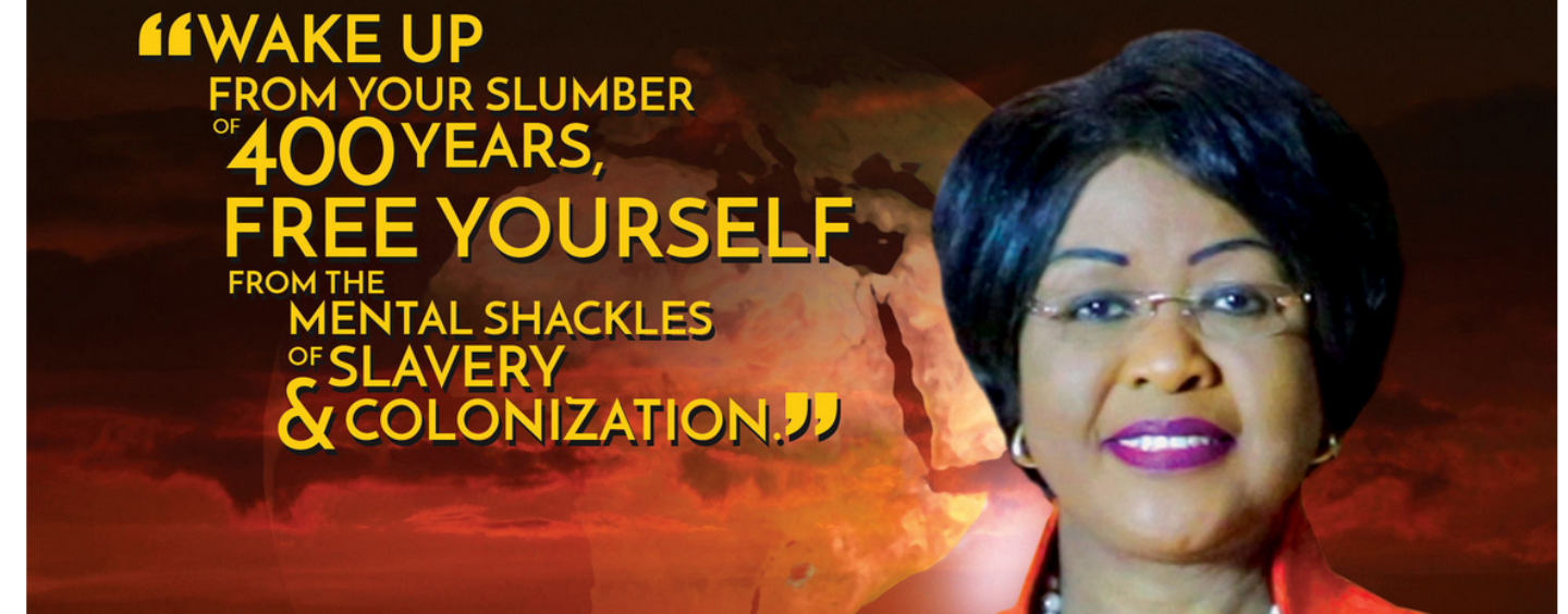 Books of Knowledge – Africa 101: The Wake Up Call from Arikana Chihombori-Quao