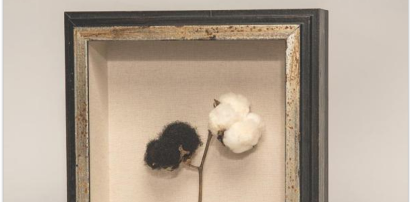 South to America: A Journey Below the Mason-Dixon to Understand the Soul of a Nation