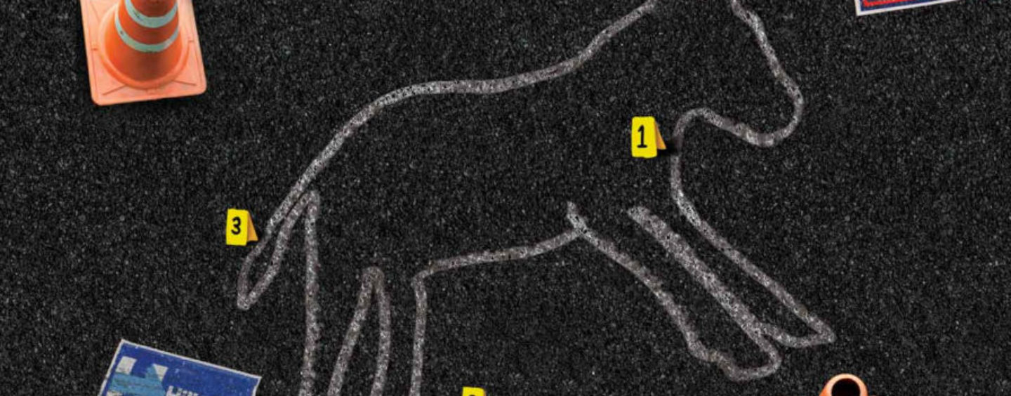 What Killed the Democratic Party? The Nation