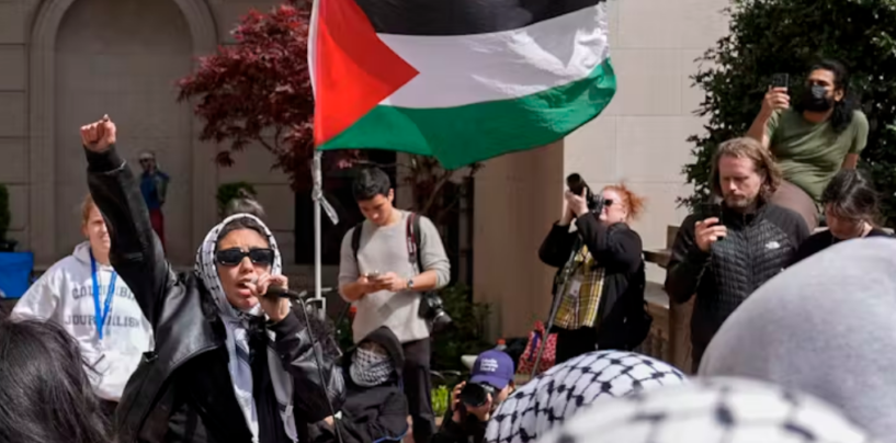 What Students Protesting Israel’s Gaza Siege Want — and How Their Demands on Divestment Fit Into the BDS Movement