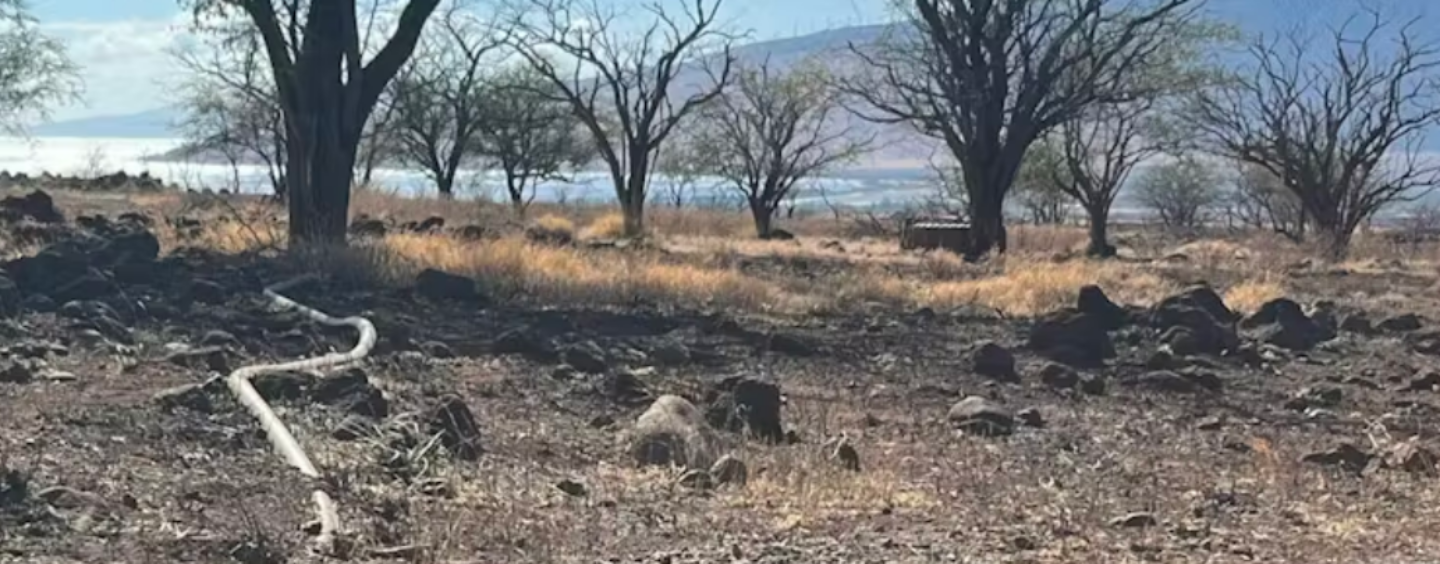 Wildfires Don’t Just Burn Farmland − They Can Contaminate the Water Farmers Use to Irrigate Crops and Support Livestock