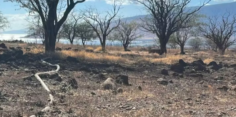 Wildfires Don’t Just Burn Farmland − They Can Contaminate the Water Farmers Use to Irrigate Crops and Support Livestock