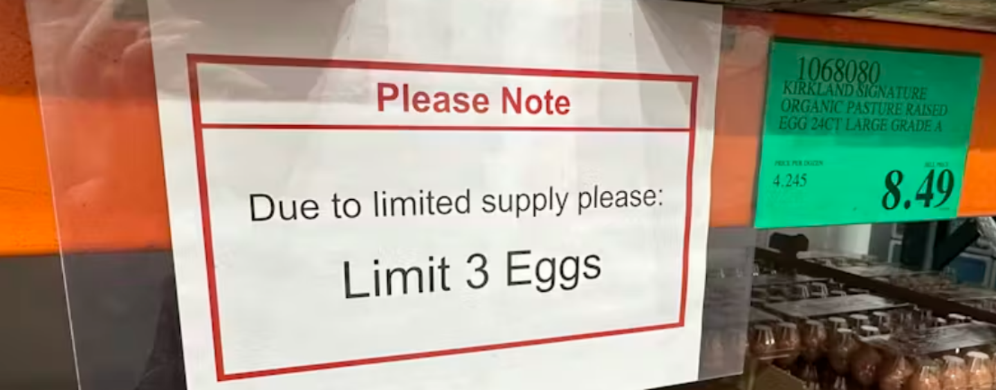 Soaring U.S. Egg Prices and Millions of Dead Chickens Signal the Deep Problems and Risks in Modern Poultry Production