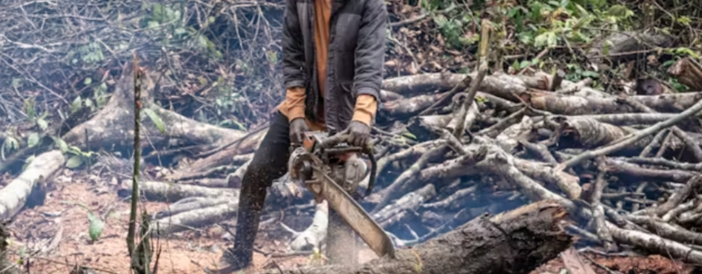 Ecological Disruptions Are a Risk to National Security