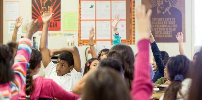 A Look Back at This Year’s Educator Grants