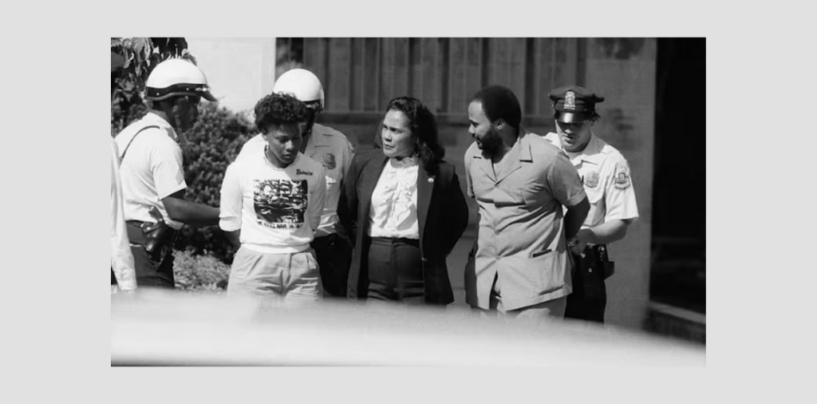 Calls for Divestment From Apartheid South Africa Gave Today’s Pro-Palestinian Student Activists a Blueprint to Follow