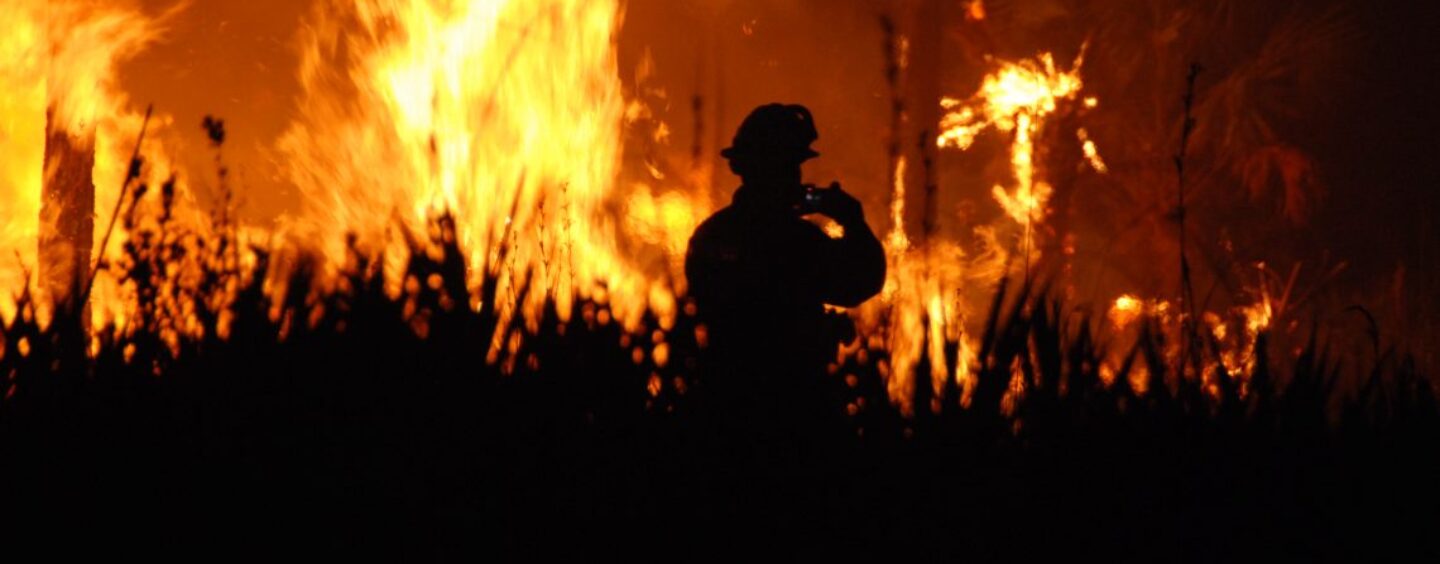 Uncontained Wildfires Ravage Los Angeles, Displacing Thousands: How to Help