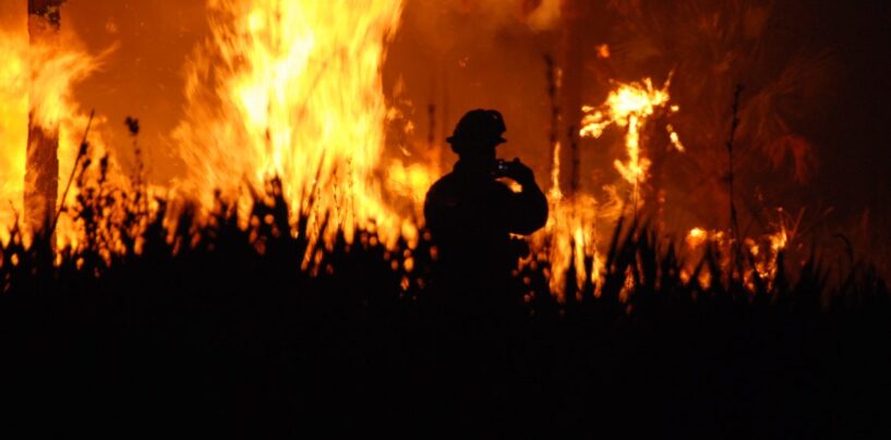 Uncontained Wildfires Ravage Los Angeles, Displacing Thousands: How to Help