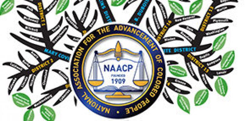 REGISTER TODAY: North Carolina NAACP Voting Rights Webinar – October 18th