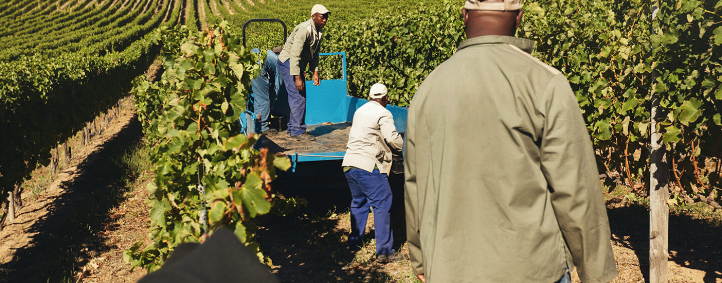 Biden-Harris Administration Launches $2.2 Billion Relief Initiative to Support Black Farmers