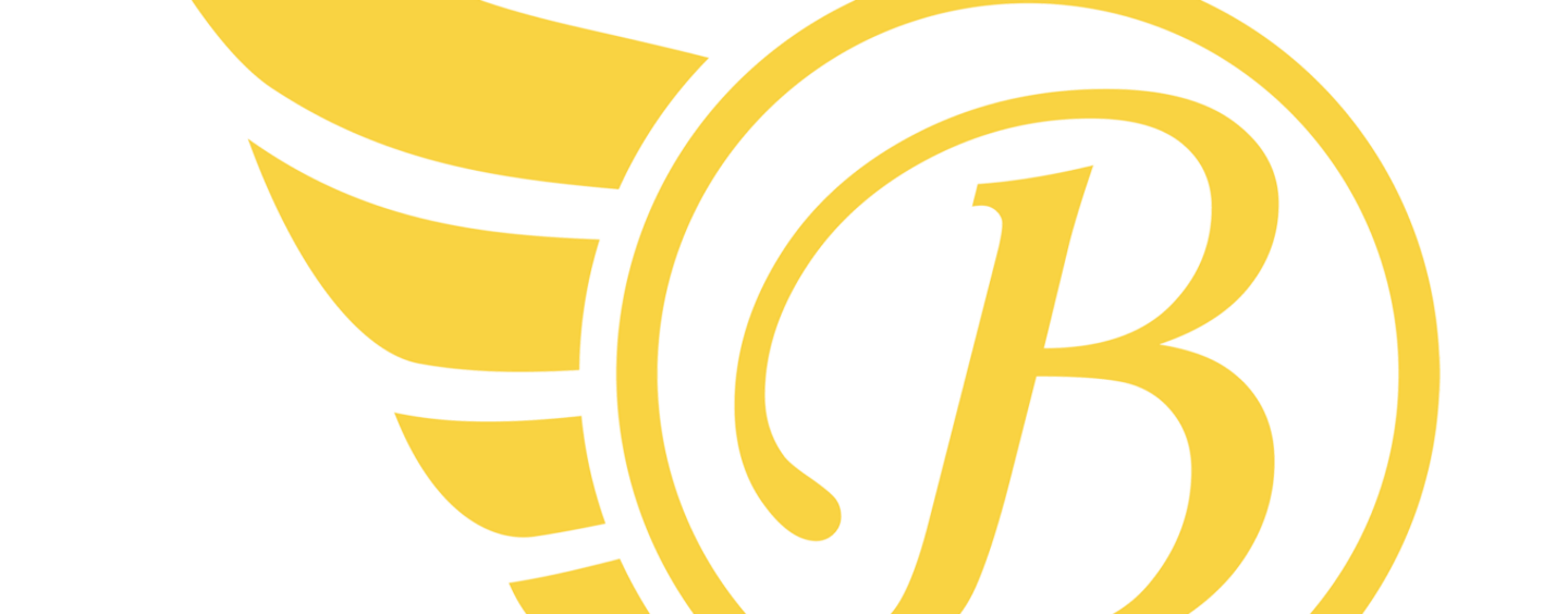 Introducing Brandcil, the First Black Owned Tech Company to Build an Enterprise Platform for Managing Your Social Media Channels