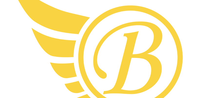 Introducing Brandcil, the First Black Owned Tech Company to Build an Enterprise Platform for Managing Your Social Media Channels