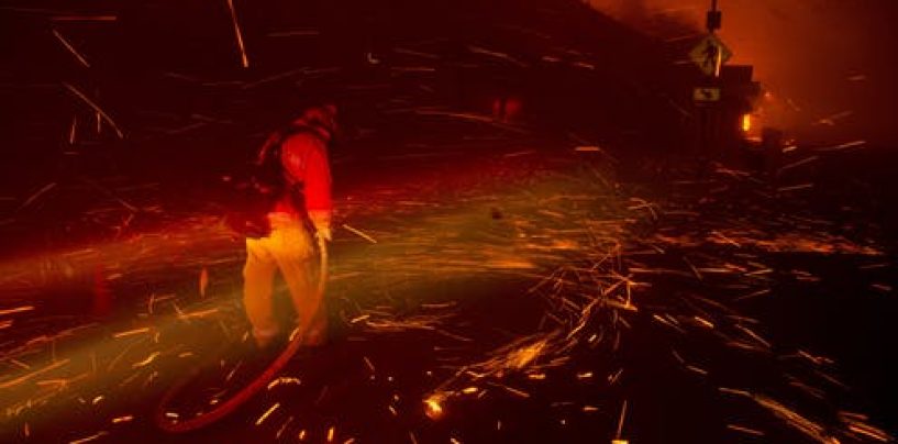 The Bitter Lesson of the Californian Fires