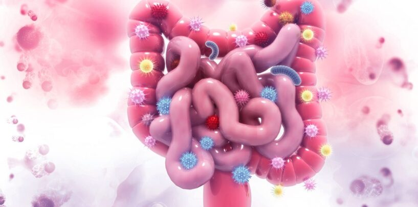 Groundbreaking Study Links Whole-Genome Duplications in Black Cancer Patients to Worse Outcomes and Environmental Carcinogen Exposure