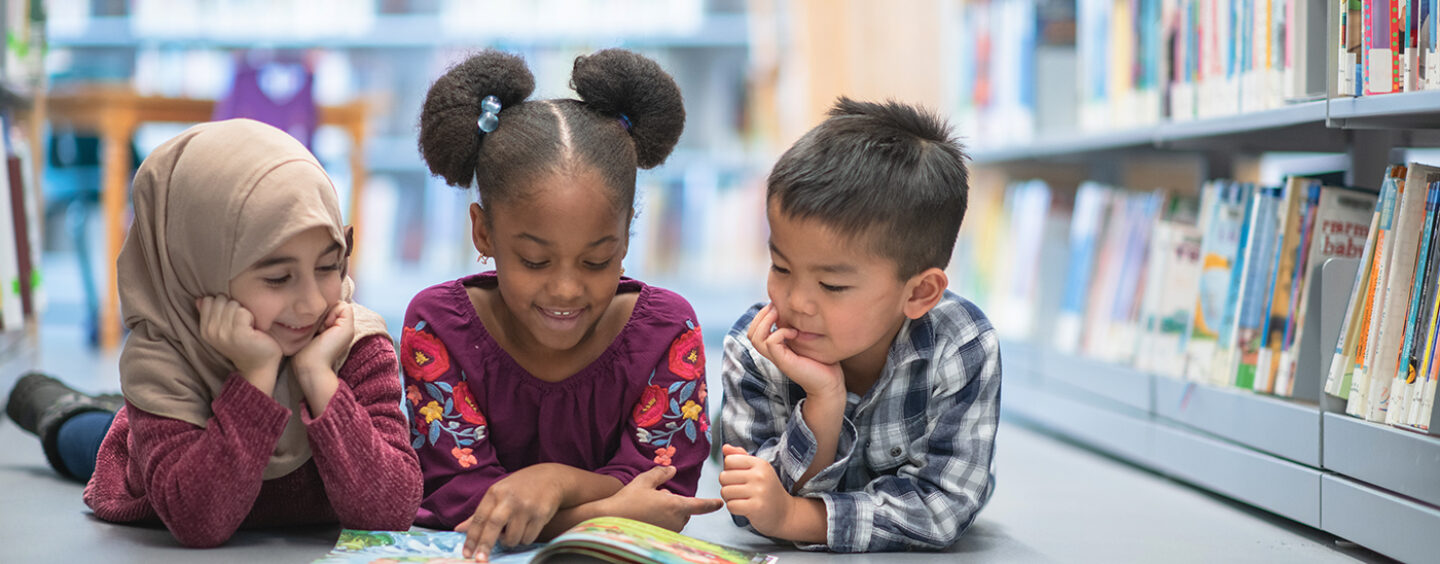 Why We Need Diverse Books in Schools