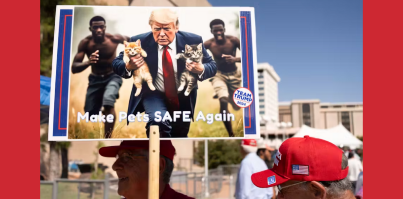 ‘They’re Eating Pets’ – Another Example of US Politicians Smearing Haiti and Haitian Immigrants