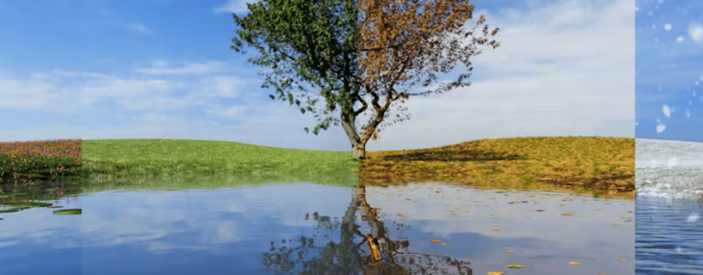 Seasonal Change Can Affect People’s Moods — and Their Moral Values