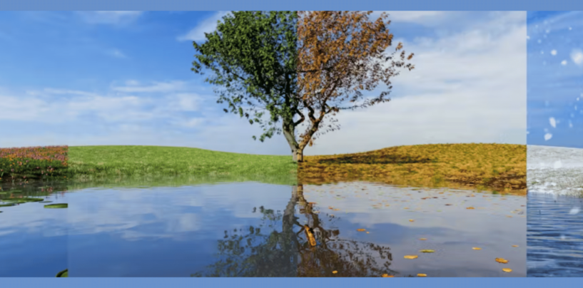 Seasonal Change Can Affect People’s Moods — and Their Moral Values