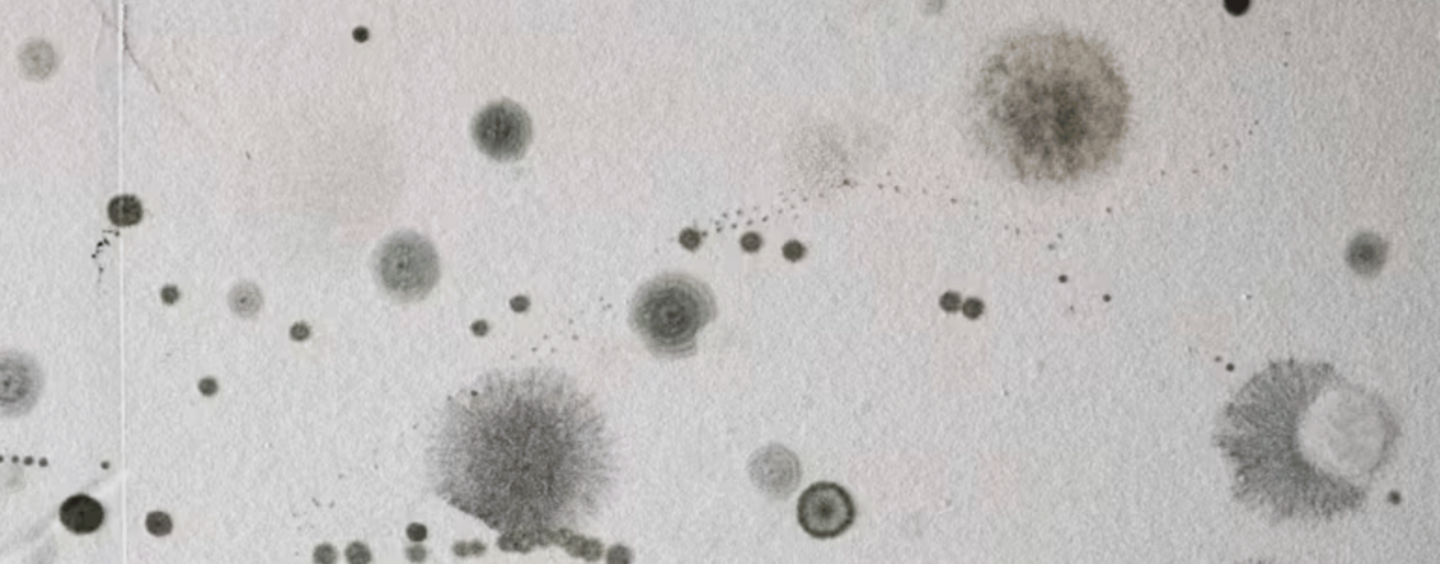 Should I Worry About Mold Growing In My Home?