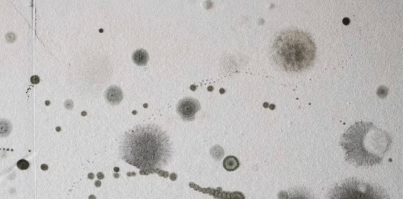 Should I Worry About Mold Growing In My Home?