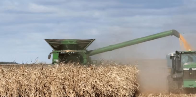 Agriculture Secretary Oversees Food Production, Rural Life, and Nutrition Programs That Help Millions Afford Healthy Diets