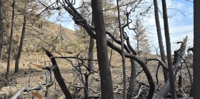 LA Gets Rain, but Also Risk of Flooding and Debris Flows From Wildfire Burn Scars – a Geologist Explains the Threat