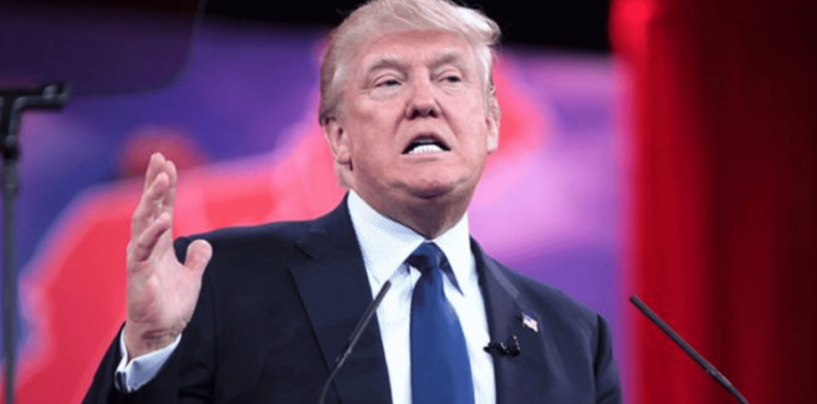 Trump Plans to Own the Gaza Strip