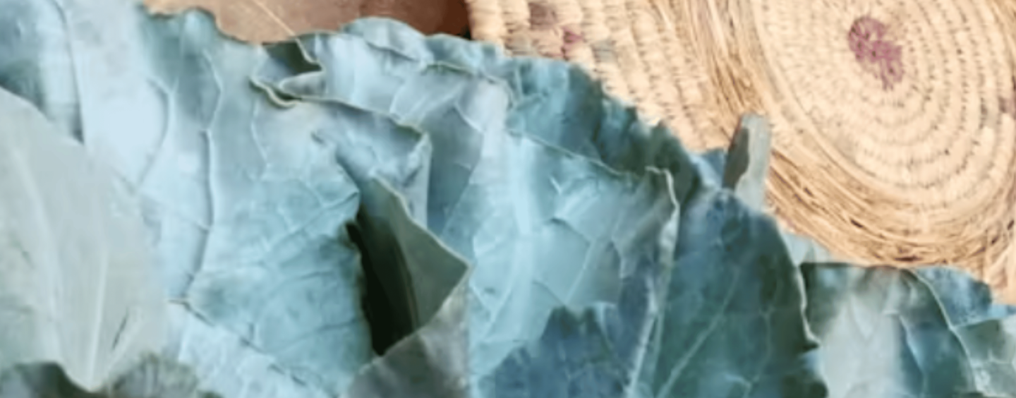 How An Unexpected Observation, a 10th-Century Recipe and An Explorer’s Encounter With a Cabbage Thief Upend What We Know About Collard Greens’ Journey To the American South