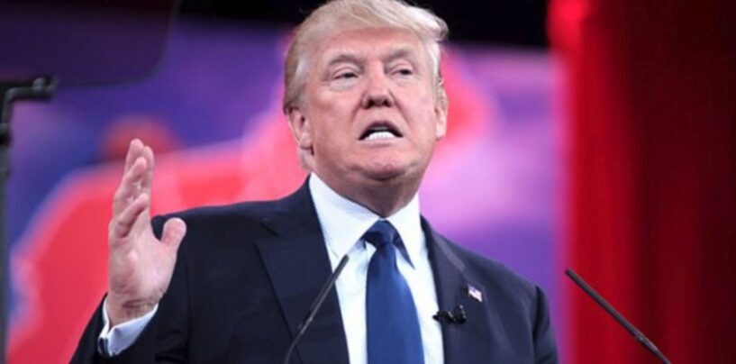 Trump’s Personal Fortune Surges as Critics Point to Historic Monetization of Presidency