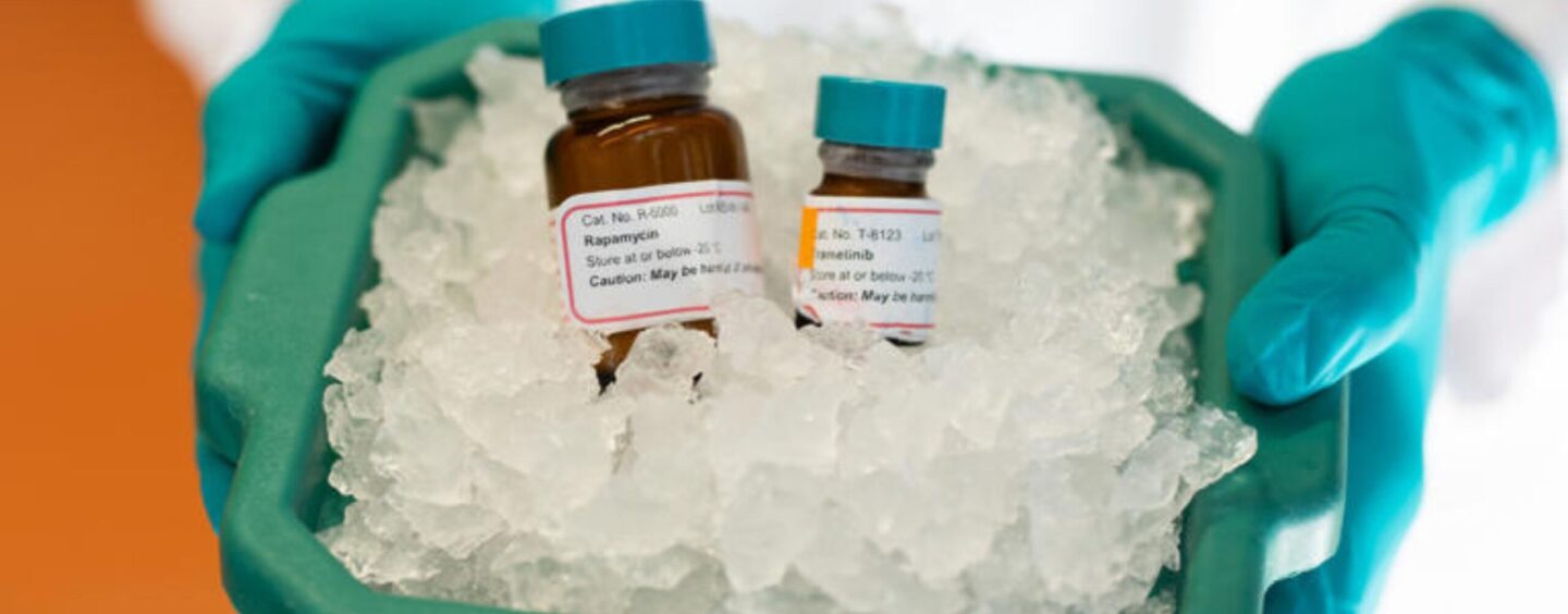 Scientists Confirm Breakthrough in Search for Ways to Extend Human Life