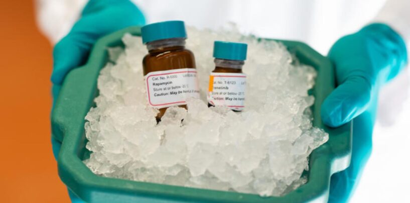 Scientists Confirm Breakthrough in Search for Ways to Extend Human Life