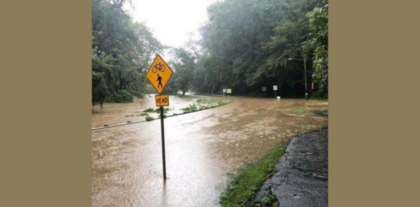 Maryland County Fields More Than 100 Rescue Calls in Two-Hour Period