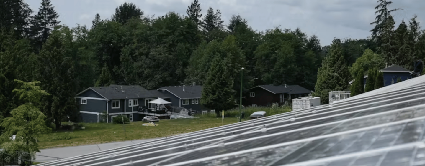 Going Off Grid is a Financial Win for Some, But It’s a Threat for Poorer Families and the Environment