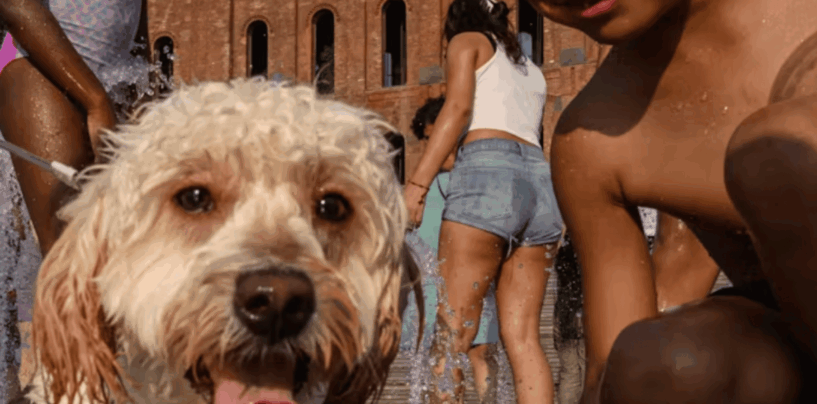 Why Don’t Humans Have Hair All Over Their Bodies? A Biologist Explains Our Lack of Fur