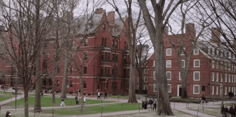 Endowments Aren’t Blank Checks – but Universities Can Rely on Them More Heavily in Turbulent Times