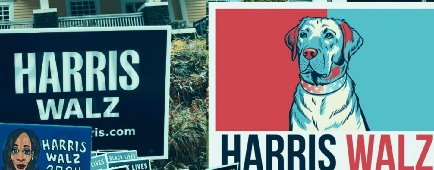 The Illusion of Allyship. White Women, Your Yard Signs Mean Nothing to Me