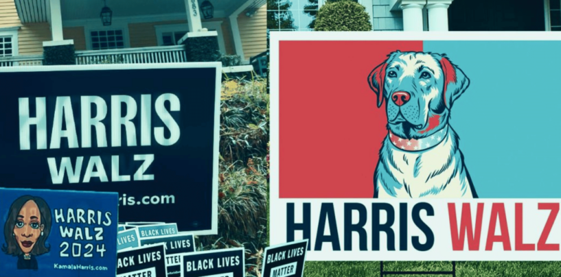 The Illusion of Allyship. White Women, Your Yard Signs Mean Nothing to Me