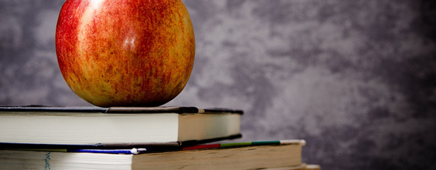 Florida’s ESSA State Plan Lacks Important Information