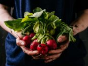 Organic Food Health Benefits Have Been Hard to Assess, but That Could Change