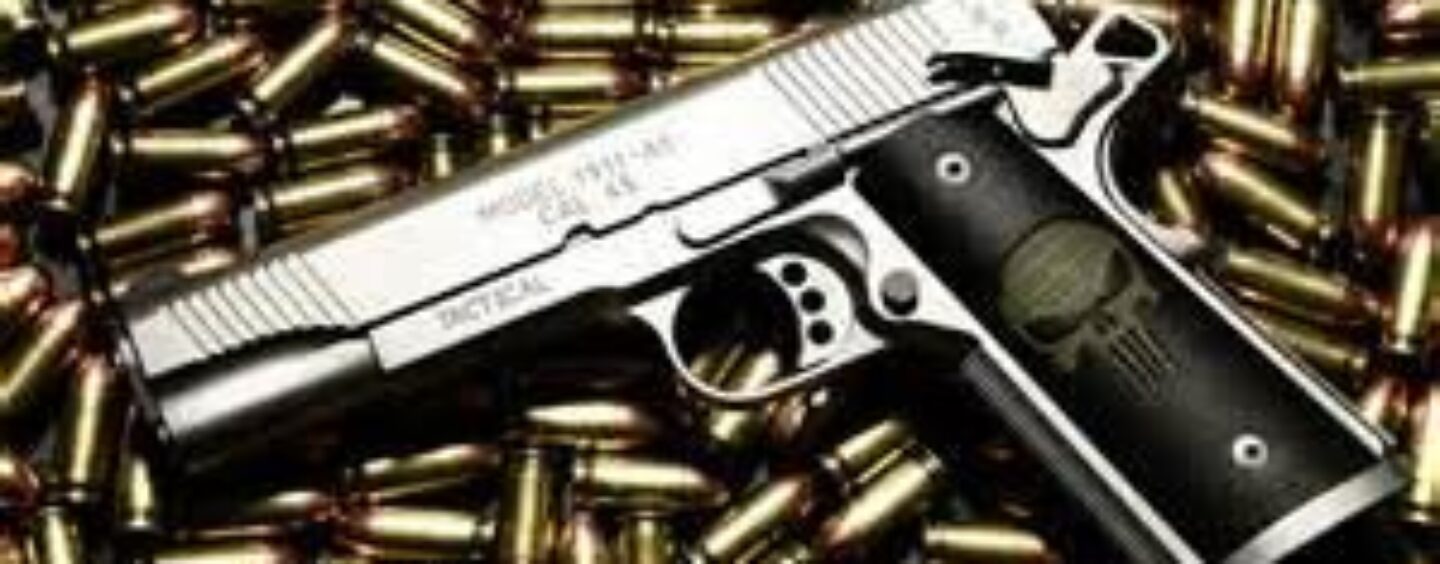 Biden-Harris Administration Launches White House Office of Gun Violence Prevention to Tackle Epidemic