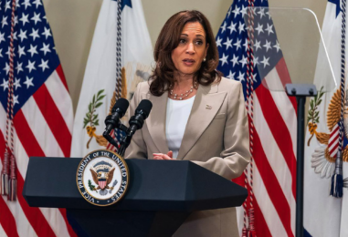 Vice President Harris Announces Slate of Actions to Help Black and Minority-owned Small Businesses