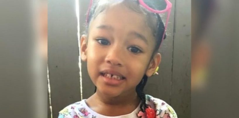 Human Remains Found in Arkansas Belong to Missing 4-Year-Old Maleah Davis