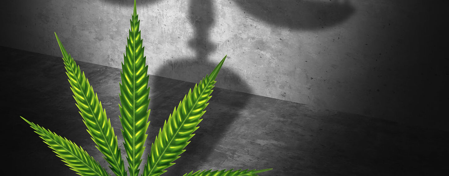 Biden Commutes Sentences and Pardons Marijuana Offenses in Sweeping Criminal Justice Reform